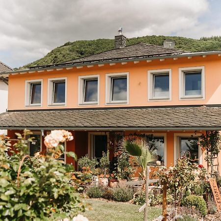 Wein- Und Gaestehaus Schwaab&Sohn Erden Buitenkant foto
