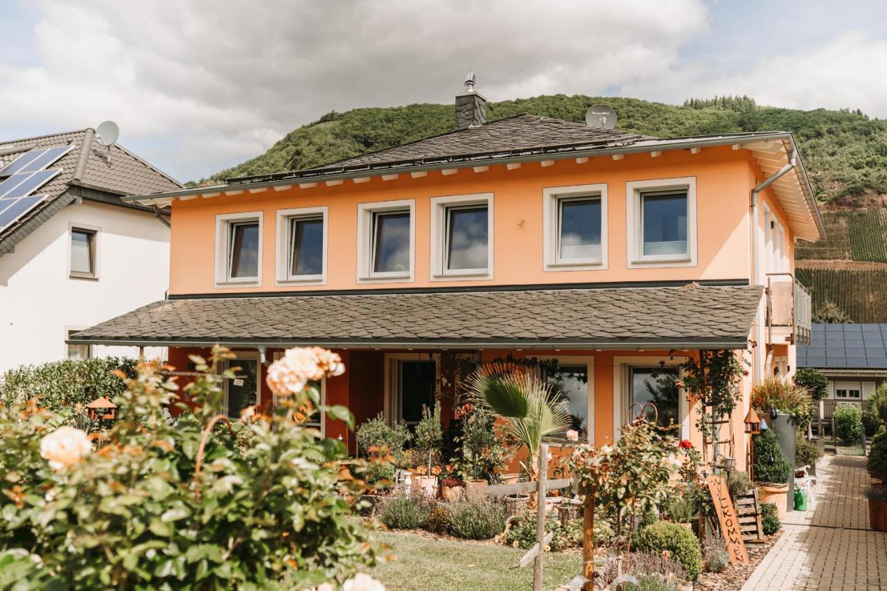 Wein- Und Gaestehaus Schwaab&Sohn Erden Buitenkant foto