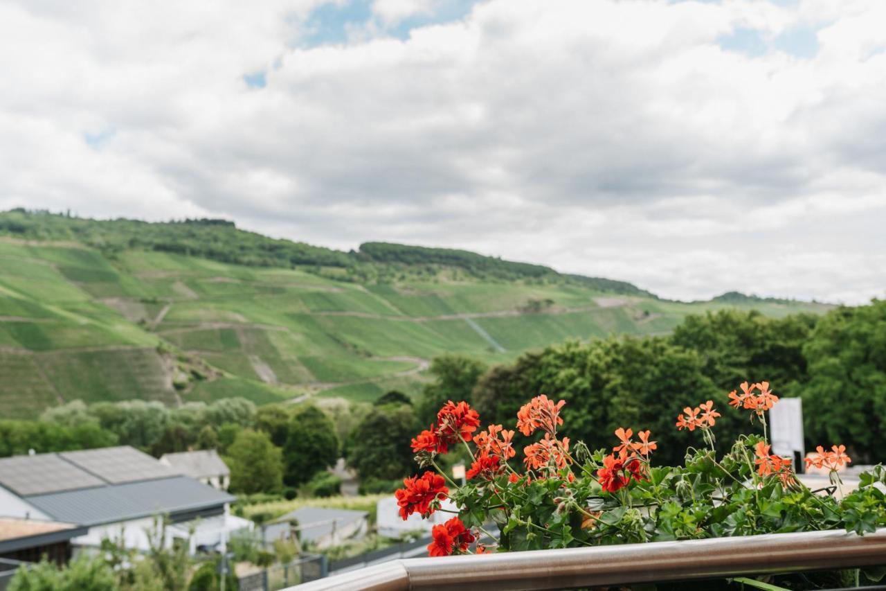 Wein- Und Gaestehaus Schwaab&Sohn Erden Buitenkant foto